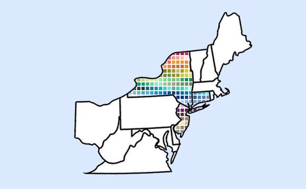 A New Emergency Grant Benefits Non-Salaried Art Workers in NY, NJ, and CT