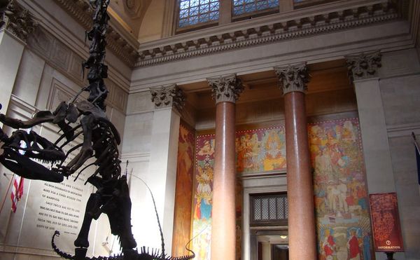 Over 40% of American Museum of Natural History Staff Impacted by Layoffs and Furloughs