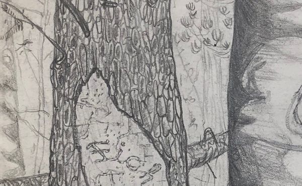 When Philosophy and Art Intersect