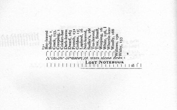 Susan Howe's Feminist Poetics