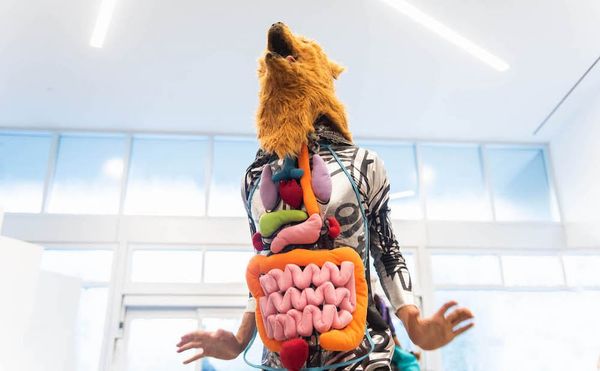 Artist Guadalupe Maravilla Is Centering Mutual Aid and Indigenous Medicinal Practices