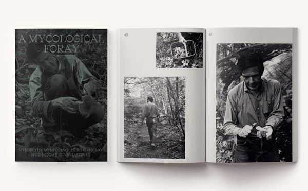 John Cage, Forager of Music and Mushrooms