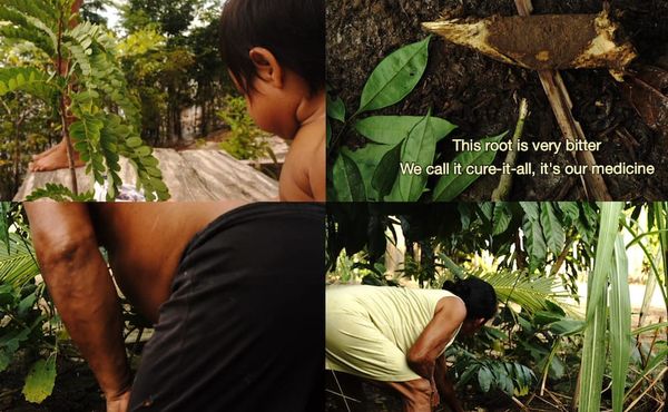 Ecofeminist Art Takes Root