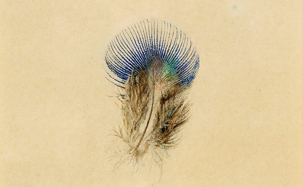 The Crafting of an Art Critic