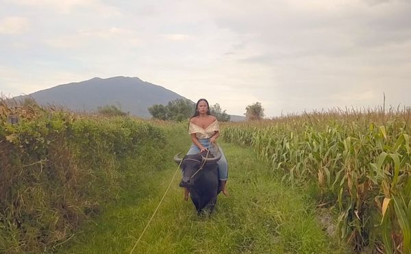 Thought-provoking MFA Work From Pratt and Parsons