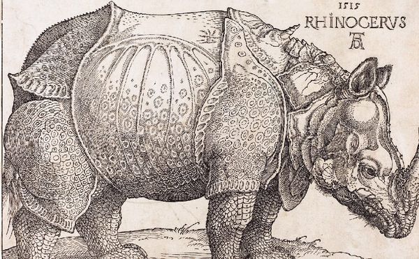 Assessing My Critical Adjustments and Changing Perspectives