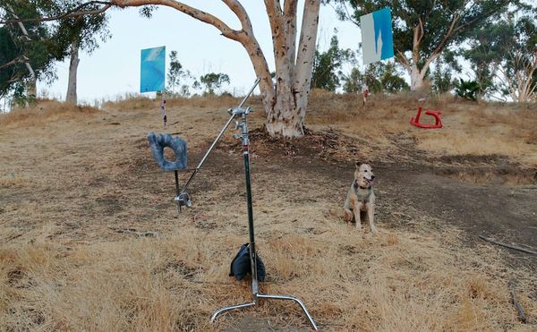 Hungarian Pickling and Coconut Juicing Are Just Two Perks of This Art Fair