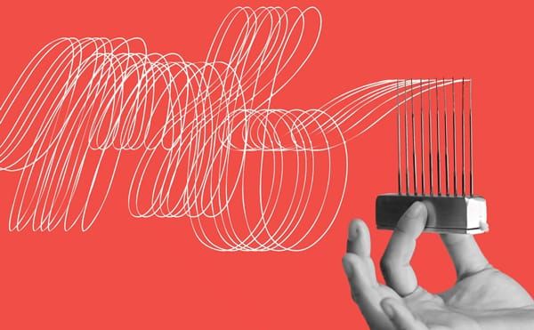 Washington University in St. Louis’s MFA in Visual Art Launches New Curriculum