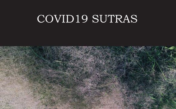 Poetry in the Time of a Pandemic