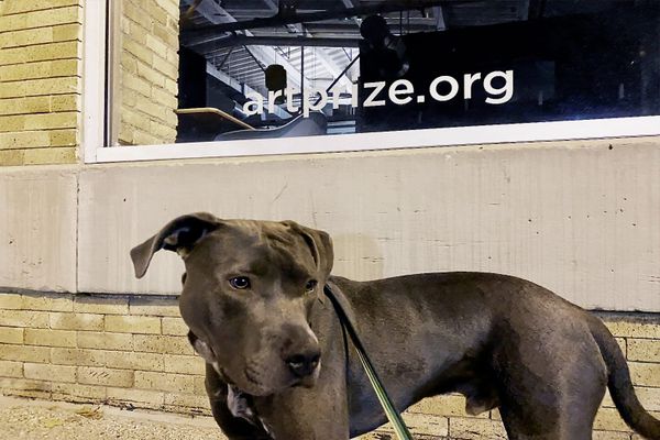 Mourning This Year’s Canceled ArtPrize Event