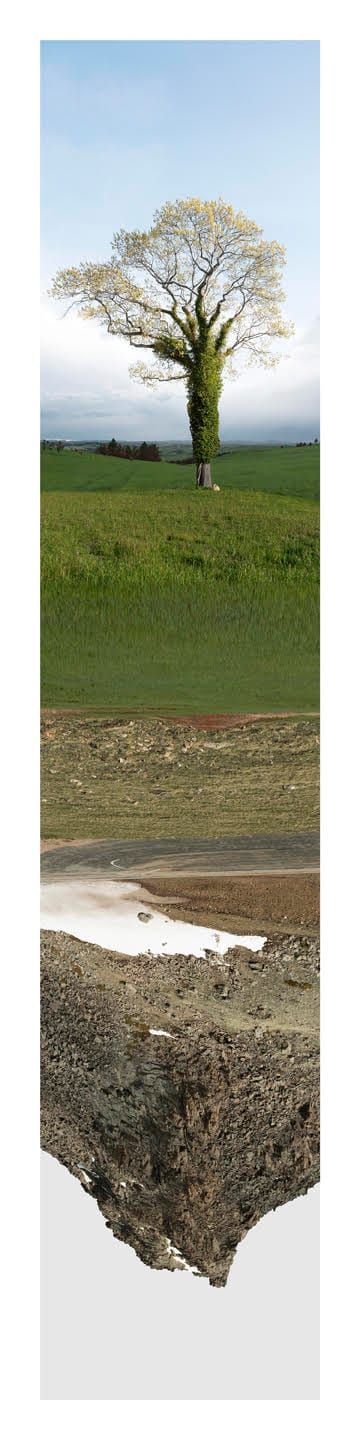 Mary Mattingly Confronts Climate Change With Utopic Resourcefulness