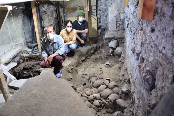 119 Human Skulls Unearthed in 15th-century Aztec Shrine