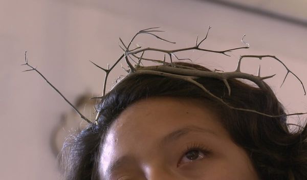 Mexican Filmmakers Are Documenting Indigenous Resistance and Feminist Issues