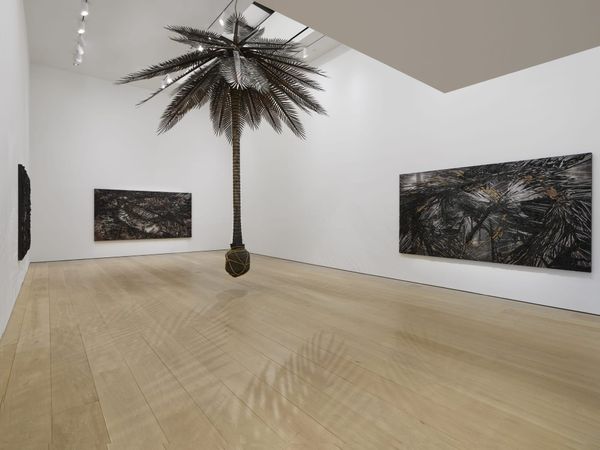 Teresita Fernández Depicts Caribbean Colonialism and Eco-Trauma