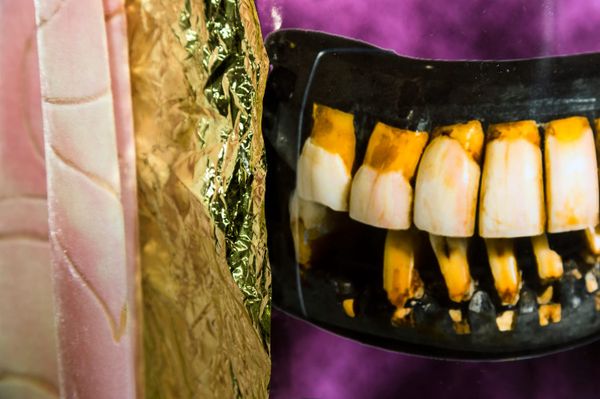 “I Call It Blaxidermy”: Pamela Council on Their Art and Aesthetic