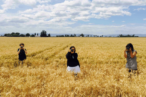 The California Studio at UC Davis Is Accepting Applications for Artists in Residence