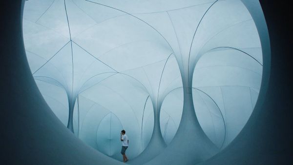 How Autistic People See the World, in Their Own Words