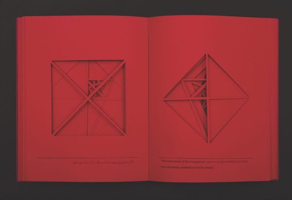 Books to See and Feel