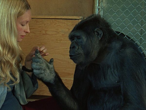 Enlightening Documentaries About Language