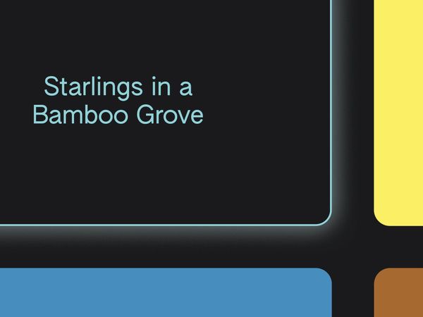 Let Go in This Anonymous Musical Improv Session