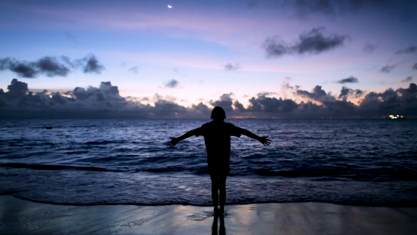 Filmmakers Propose Solutions to the Climate Crisis