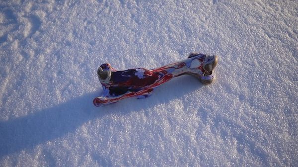 Art That Goes With the Floe