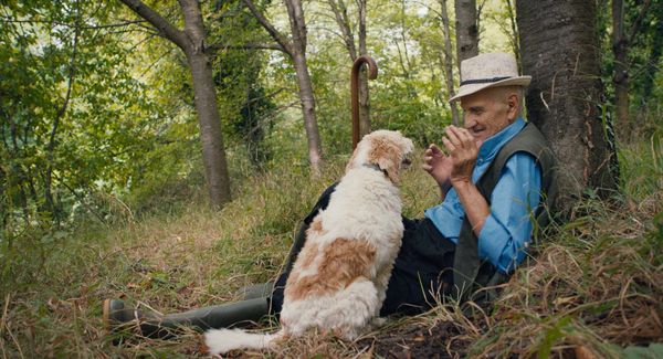 In the Forests of Italy, Old Men Search for Truffles With Their Dogs