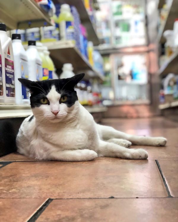 Week in Review: Penn Museum Admits to Storing Remains of MOVE Bombing Victims; MoMA Appoints New Board Chair