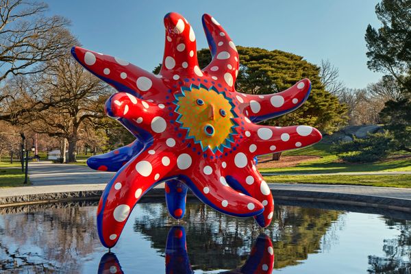 Kusama: Cosmic Nature Now Open at the New York Botanical Garden