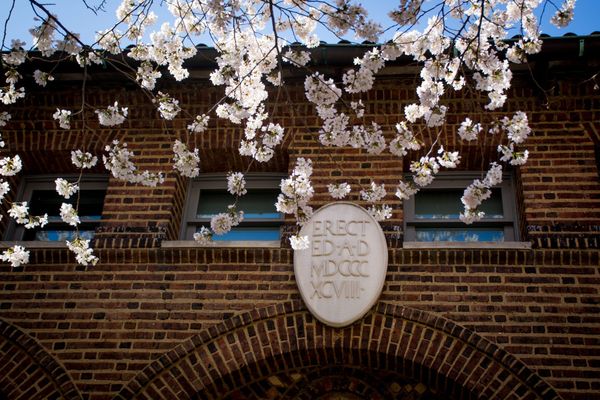 Penn Museum Apologizes for Holding Remains of MOVE Bombing Victims