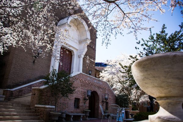 Penn Museum Kept Remains of MOVE Bombing Victim; Now, Activists Call for Curator’s Firing