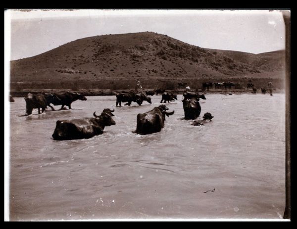 SALT Presents Climavore: Seasons Made to Drift by Cooking Sections