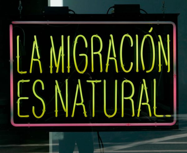 Your Concise Los Angeles Art Guide for May 2021