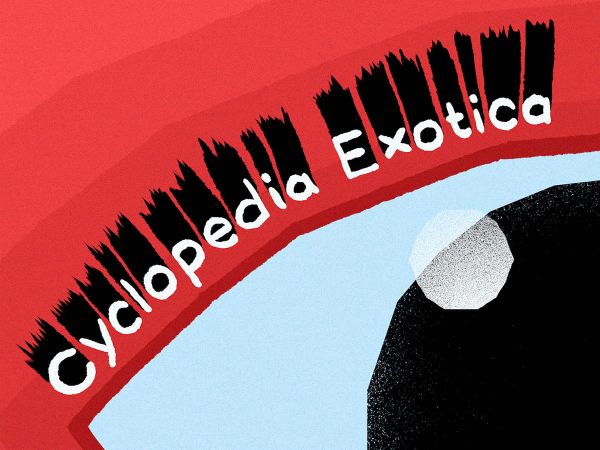 Seeing Through the Eye of Others