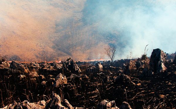 Berlin’s KW ICA Launches KW Digital and Its Inaugural Exhibition The Last Museum