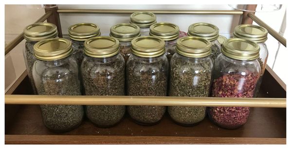 Welcome to the Museum of the Future