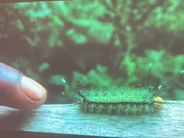 QTPOC Artists Mine the Power of Intimacy