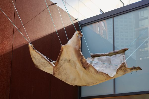 Rindon Johnson Ruminates on the Expansiveness of Identity