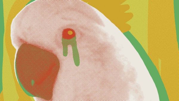 Humankind’s History of Betraying Animals