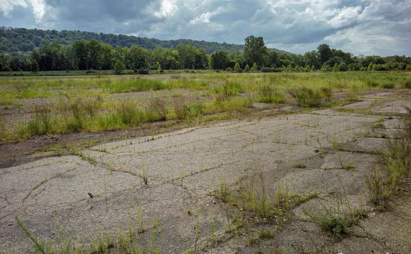 ArtYard’s Living Exhibition Unfolds in Real Time in New Jersey