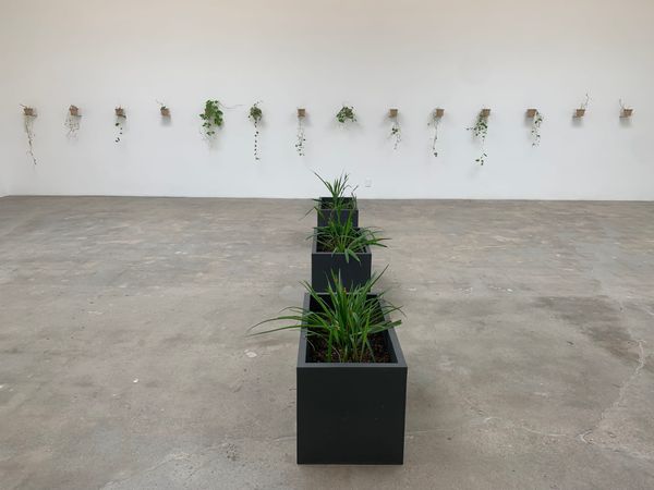 What Does It Mean to Exhibit Nature?