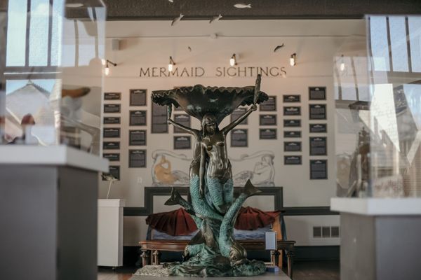 The Curious Emergence of Two Mermaid Museums in the US