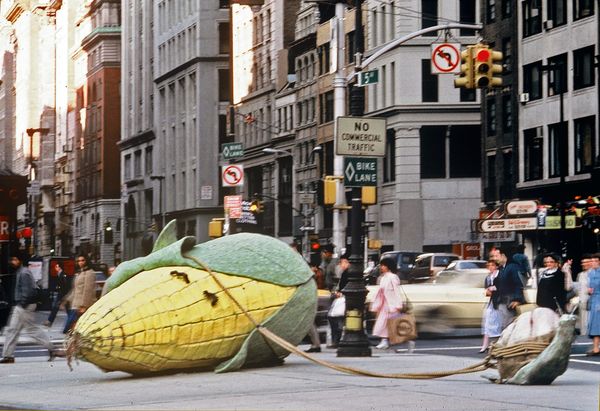 A New Monograph Catalogues the Career of Eco Artist Christy Rupp