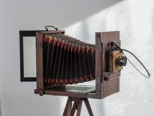 Brian Wallis: An Endorsement of an Amicus Brief for Lanier v. Harvard