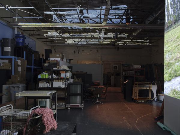 Your Concise New York Art Guide for December 2021