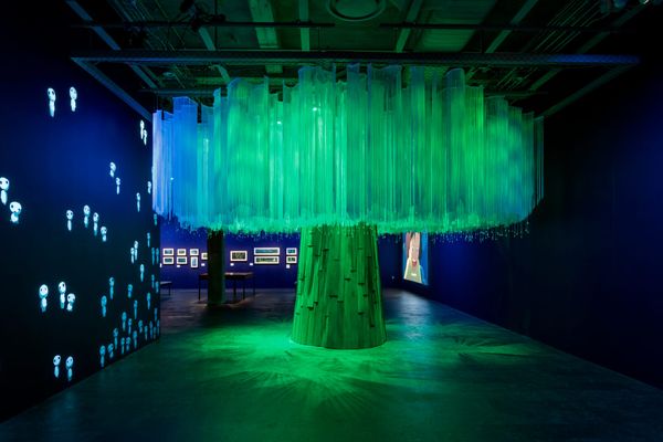 Searching for Hayao Miyazaki in the Details of His Films