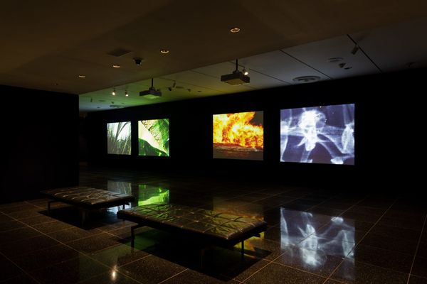 In Neelon Crawford’s “Moving Paintings,” the Natural and Manmade Face Off