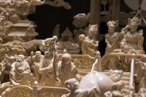 EU Takes a Major Step Towards Ending the Ivory Trade