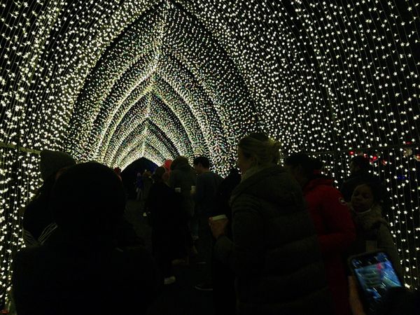 The Costly Glow of Light Pollution