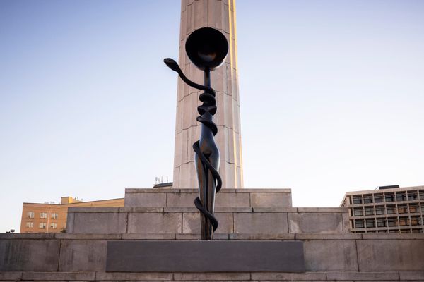 Simone Leigh Sculpture Replaces a Confederate Monument In New Orleans